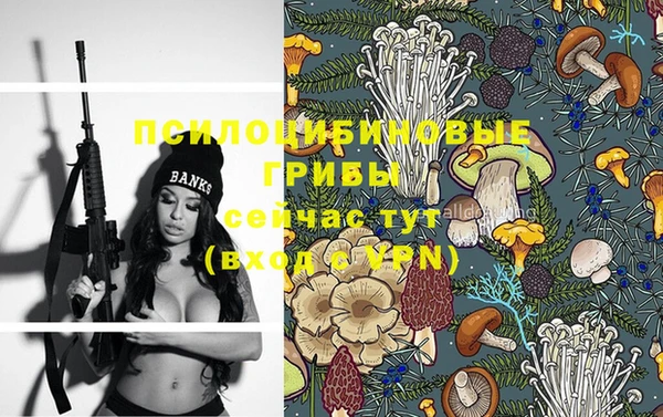 spice Абинск