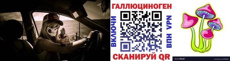 Псилоцибиновые грибы GOLDEN TEACHER Котельнич